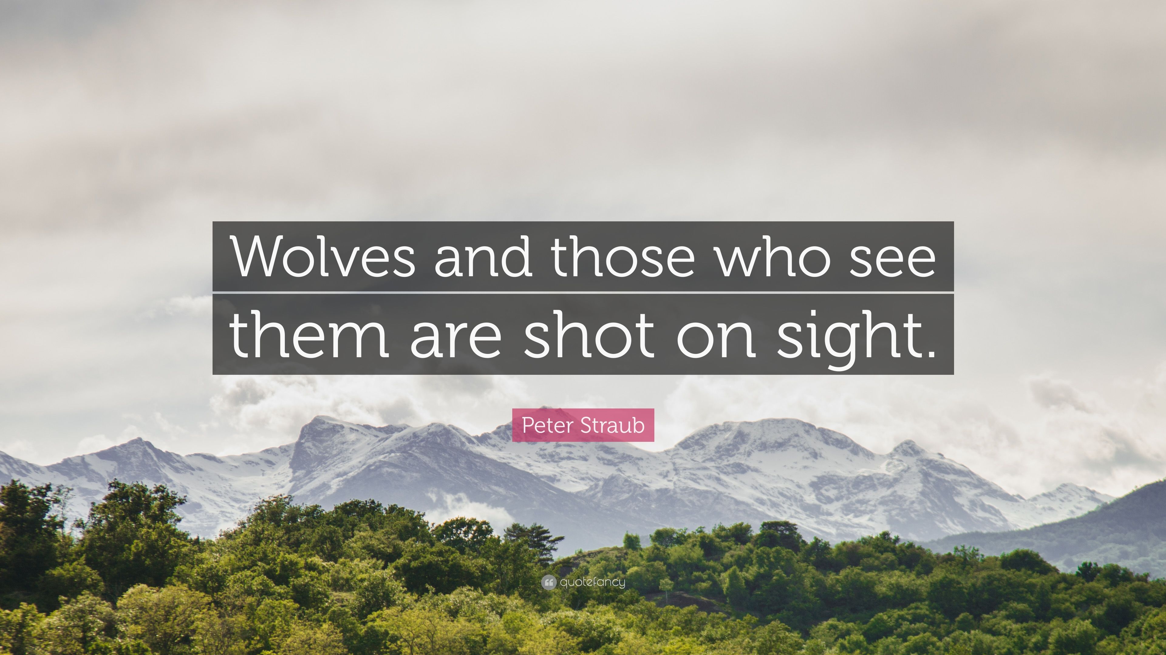 3371934-Peter-Straub-Quote-Wolves-and-those-who-see-them-are-shot-on-sight.jpg